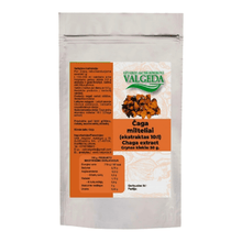 Įkelti vaizdą į galerijos rodinį, Čaga Beržo grybas, Įžulnusis skylenis- milteliai. 50g🍃