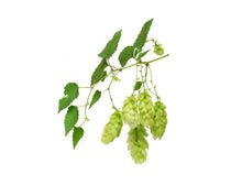 Įkelti vaizdą į galerijos rodinį, Ramus miegas. 60 vnt kapsulių🍃