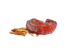 Įkelti vaizdą į galerijos rodinį, Reishi grybo milteliai, 50g🌱