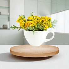 Įkelti vaizdą į galerijos rodinį, Bitkrėslė- džiovinta žolė arbatai 25 g. Užauginta ir pagaminta Lietuvoje 🌿