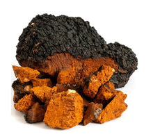 Įkelti vaizdą į galerijos rodinį, ČAGA Beržo grybas. + REISHI Tikrinis blizgutis. 27 g.🍃