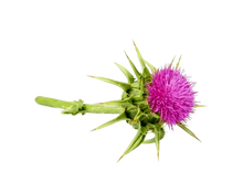 Įkelti vaizdą į galerijos rodinį, 🌱 Margainių sėklų milteliai 150g.🍃