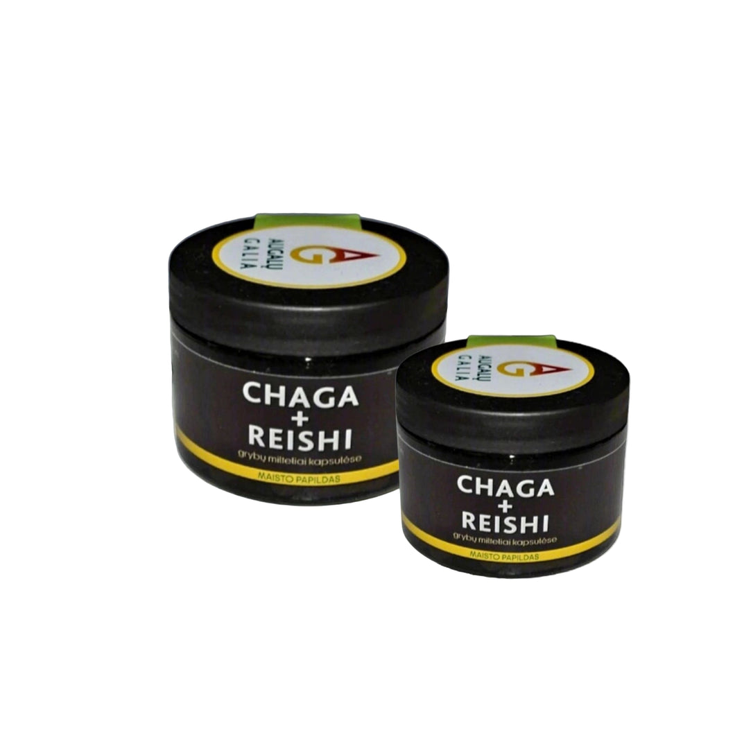 Čaga Beržo grybas+Reishi Tikrinis blizgutis kapsulės- 2vnt.🌿