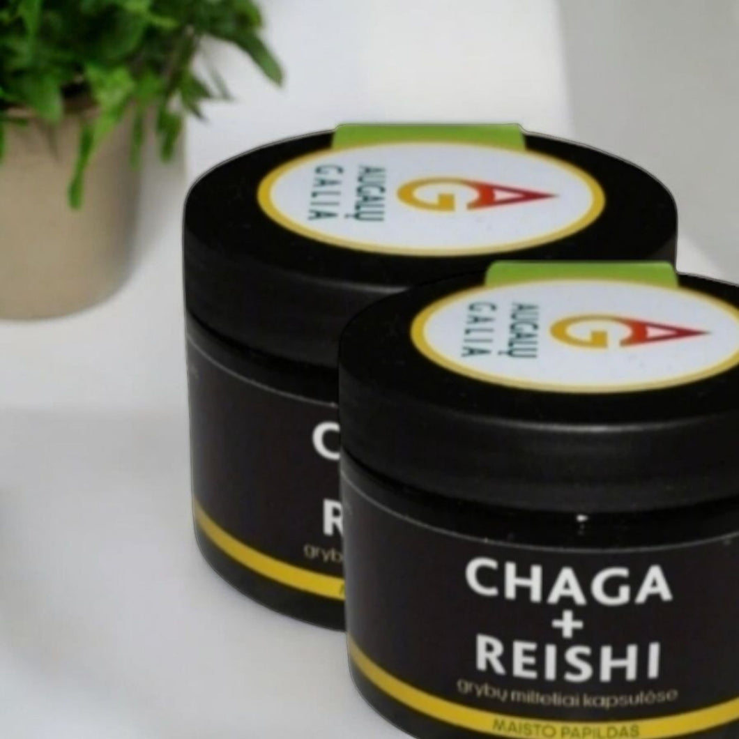 Čaga Beržo grybas+Reishi Tikrinis blizgutis kapsulės- 2vnt.🌿
